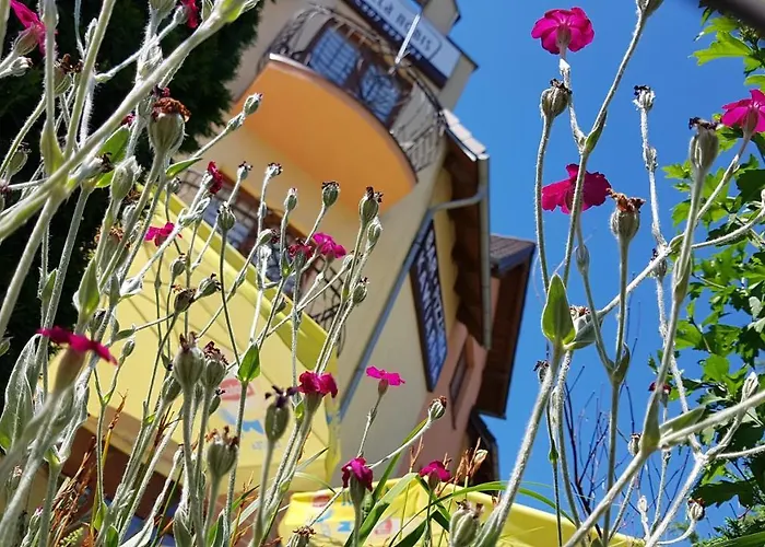 Nobis Bed & Breakfast Leba